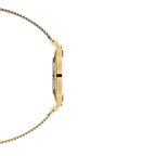 Daniel Wellington Ladies Watch Dw00100346