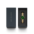 Daniel Wellington Ladies Watch Dw00100479