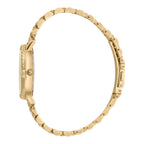 Just Cavalli Donna sempre Yellow Gold Champagne