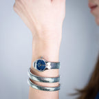Just Cavalli Amanta Silver Blue