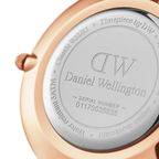 Daniel Wellington Ladies Petitedover White Watch Dw00100313