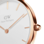 Daniel Wellington Ladies Petitedover White Watch Dw00100313